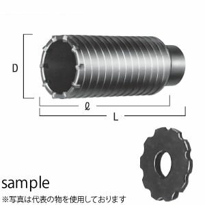 HiKOKI（日立工機） コアビット ガイドプレート付 No.959710 φ100mm×L148 ビットの...