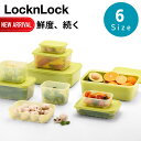 2025新商品 選べる6size LocknLock 野菜 鮮度保持 保存容器 | ロック&ロック ロック 保存容器 キープフレッシュ ストッカー スタッキング 大 食品 食材 冷凍室 食洗器対応 鮮度長持ち 密閉 野菜 鮮度キープ 鮮度保持 葉物野菜 鮮度 新鮮 長持ち 保存 オーブン