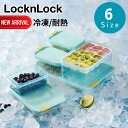 【お得な2個セット】選べる6size LocknLock 冷凍用 保存容器 | ロック&ロック 冷凍 ロック 保存容器 フローズン コンテナ 保存 容器 保存ケース ケース 冷凍保存 フローズンコンテナ フードコンテナ 食品保存 食洗機対応 食洗機OK 電子レンジ対応 レンジ対応 食洗機