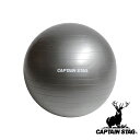 キャプテンスタッグ(CAPTAIN STAG) フィットネスボール φ55 シルバーホワイト | エクササイズ フィットネス Φ55cm 筋トレ ダイエット 体...