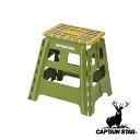【お得な2個セット】キャプテンスタッグ(CAPTAIN STAG) 折りたためる ステップ L (グリーン) | グリーン ステップ 折りたためる アウトドア 踏み台 椅子 折りたたみ Lサイズ キャンプ イス 折り畳み いす 簡易的 釣り具 軽量 チェア 高さ39cm