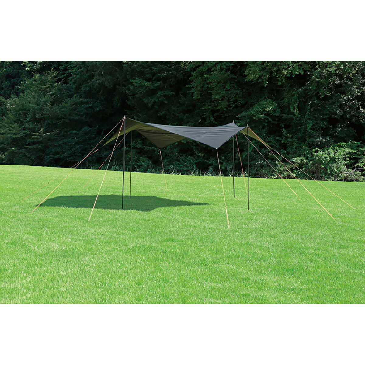 キャプテンスタッグ(CAPTAIN STAG) CSブラックラベル ヘキサタープUV | ヘキサタープUV アウトドア キャンプ テント ブラック タープ キャンプ用品 屋外 バーベキュー パール金属 便利 ヘキサタープ レジャー グッズ ツール