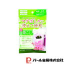 【お得な2個セット】マグ用簡単茶こし(24枚入) | 24枚入 茶こし 急須や湯のみ 固定テープ付 茶漉し 使い捨て キッチン用品 マグ用 簡単茶こし パール ...