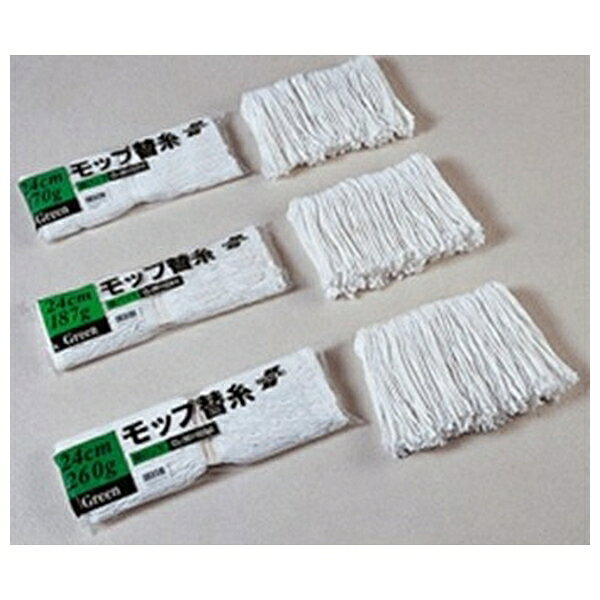 【2個セット】テラモト(TERAMOTO) 糸ラーグ 緑パック 24cm 187g CL-361-024-0 [法人限定] | テラモト モップ 糸ラーグ 緑パック 24cm 掃除用具 水拭き から拭き ワックス掛け 替糸 モップ替糸 専用モップ 太糸タイプ 洗剤不要 アクリル レーヨン ポリエステル
