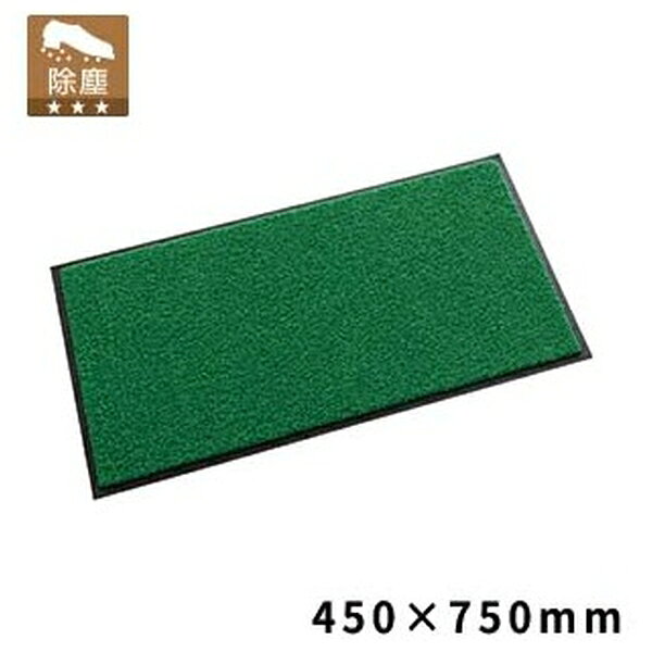 【箱売り 10個セット】テラモト(TERAMOTO) ニュートレビアン 緑 450×750 MR-034-22...
