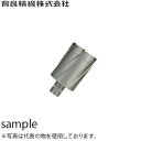 育良精機(イクラ) CRSQ350 50SQクリンキーカッター(超硬) 穴径:φ35.0mm(4)