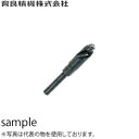 育良精機(イクラ)　NS095　ノス型ドリル　穴径：φ9.5mm