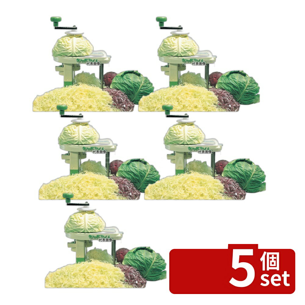 ��5�ĥ��åȡ����չ��Ƚ� ����٥ĥ��� (��ư����٥ĥ��饤����) 240��220��H300 ���饤���� No.0761800