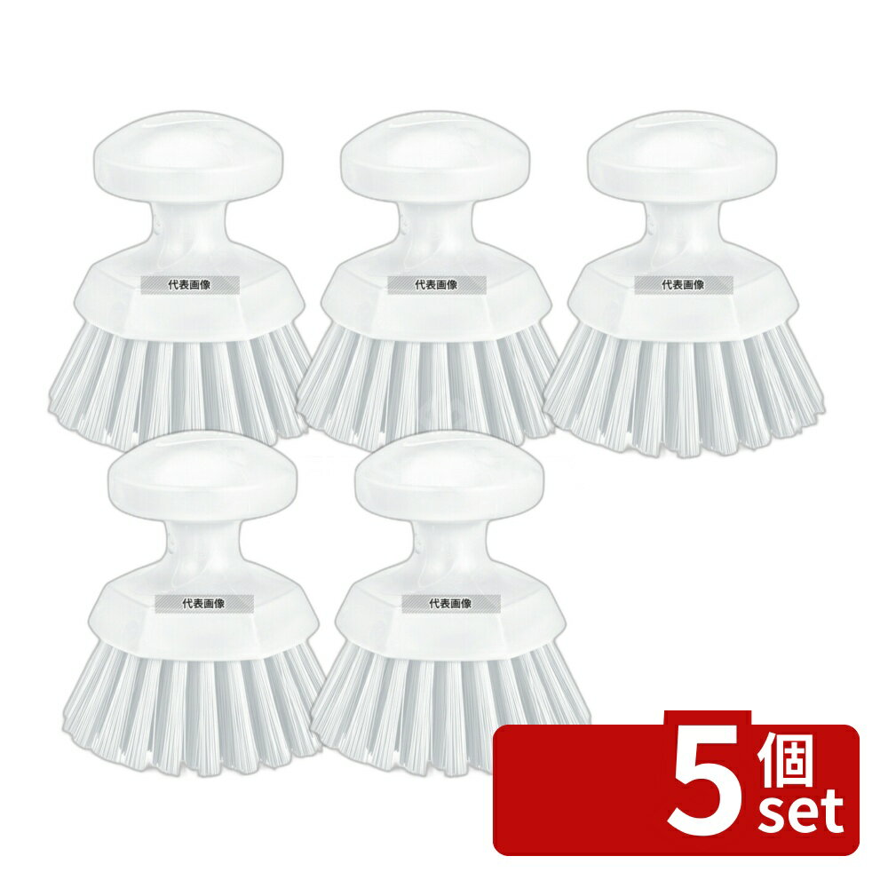 【5個セット】ヴァイカン ハンドブラシ丸 ハードタイプ 38855 ホワイト φ110×120 ブラシ No.3594610