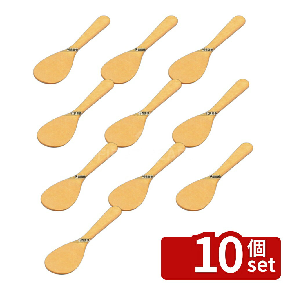 【10個セット】アーライト スプーン SS-1410 10インチ 255×61 スパチュラ/ヘラ/スケッパー No.6465600
