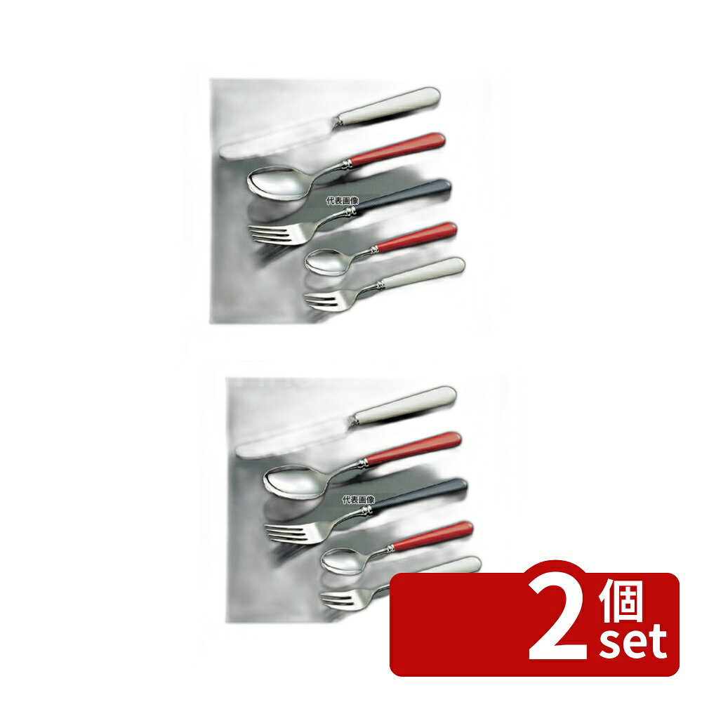 【2個セット】ステンレス #3110 フェ�