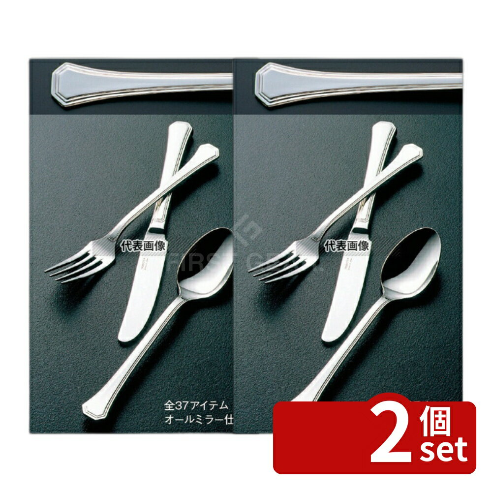 【2個セット】18-8(ステンレス) クリスタルライン アイスクリームスプーン 125 スプーン No.4567900