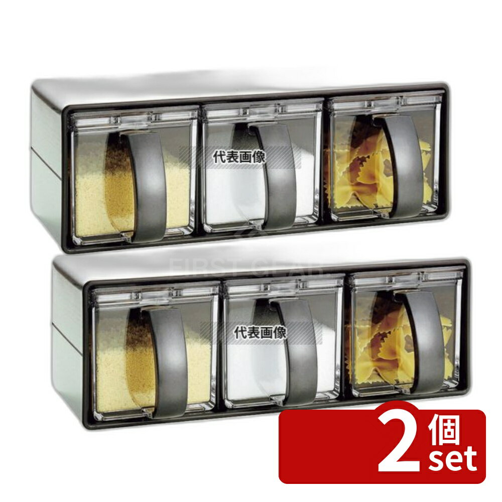 Set - 【2個セット】Nフォルマ 調味料ケース ステンレス3 112171 1920ml 300×151×H105 調味料入 No.4768640