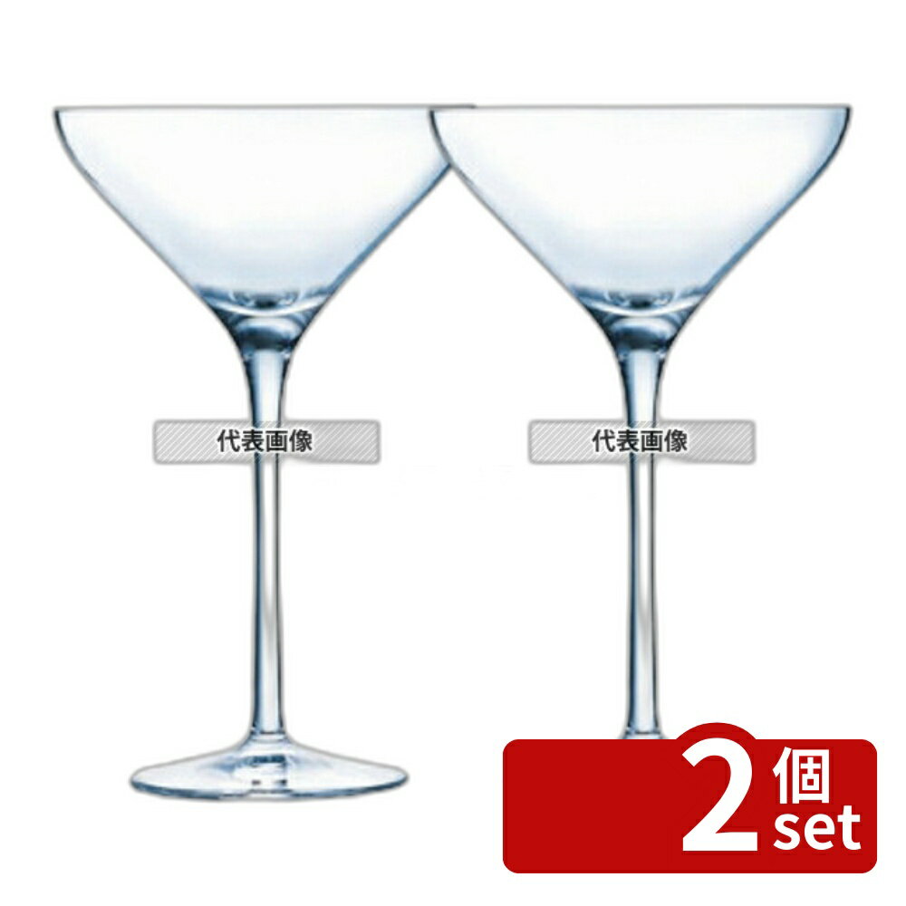 【2個セット】ニューマティーニ カクテル21 L3678 210cc (6個入) 210cc φ114×H179 グラス/酒器 No.8001701