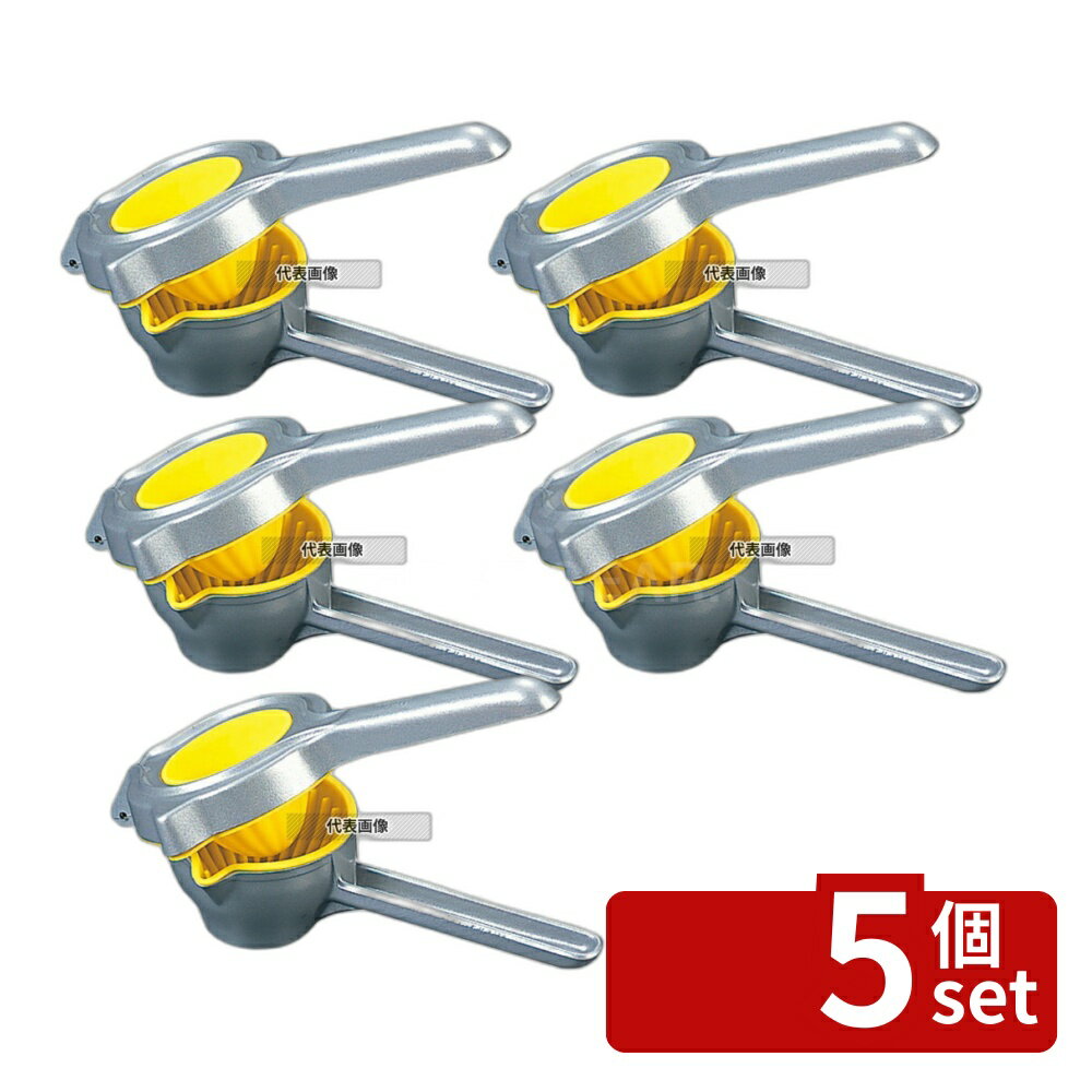 ��5�ĥ��åȡ�WM ����ץ쥹 WM5000 ��100��240 ��100��H240 ����ʤ�/�˥�˥��ʤ� No.8023800