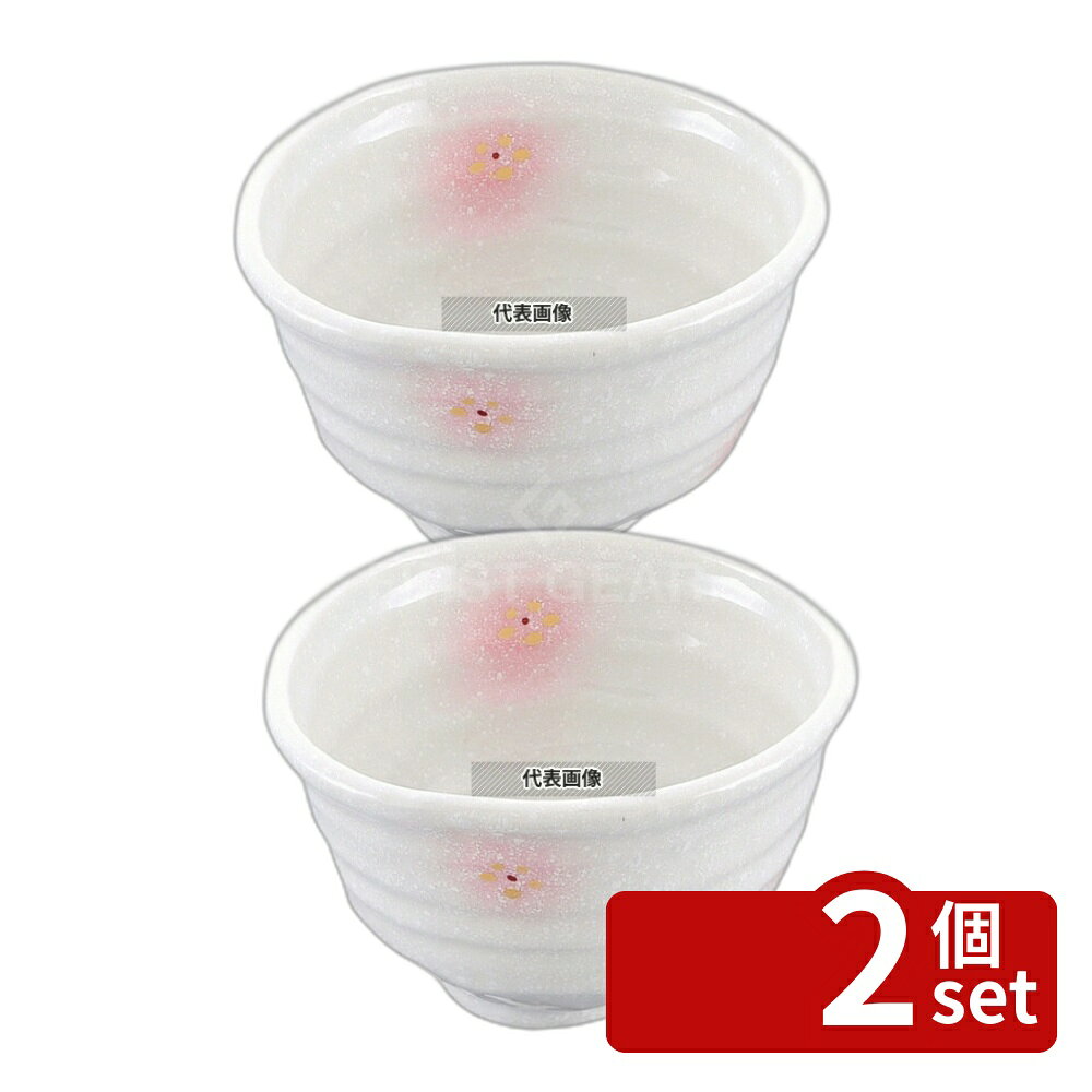 ��2�ĥ��åȡ��¿��拾�쥯����� �ԥ���ᾮ�� Ч 4.5�� 570ml 140��132��H85 ��/��/�� ���� No.8181550