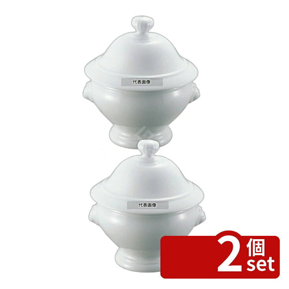 【2個セット】アピルコ ライオンヘッド スープチューリン (蓋付) SPTL75 SE φ200 2600ml φ200×H160 オ..