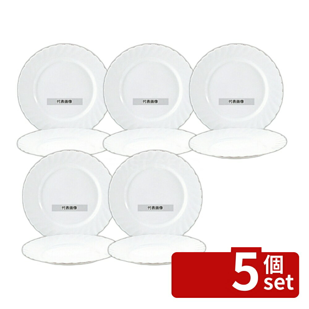 【5個セット】トリアノン 大皿 N8244 φ273 φ273×H25 皿 No.7365802