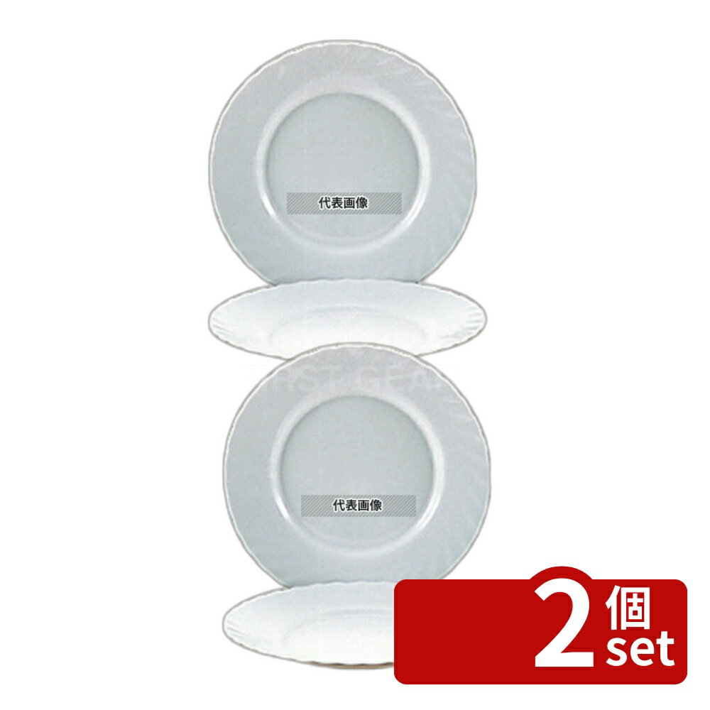 【2個セット】トリアノン ミート皿 E9579 φ246 φ246×H23 皿 No.7365900