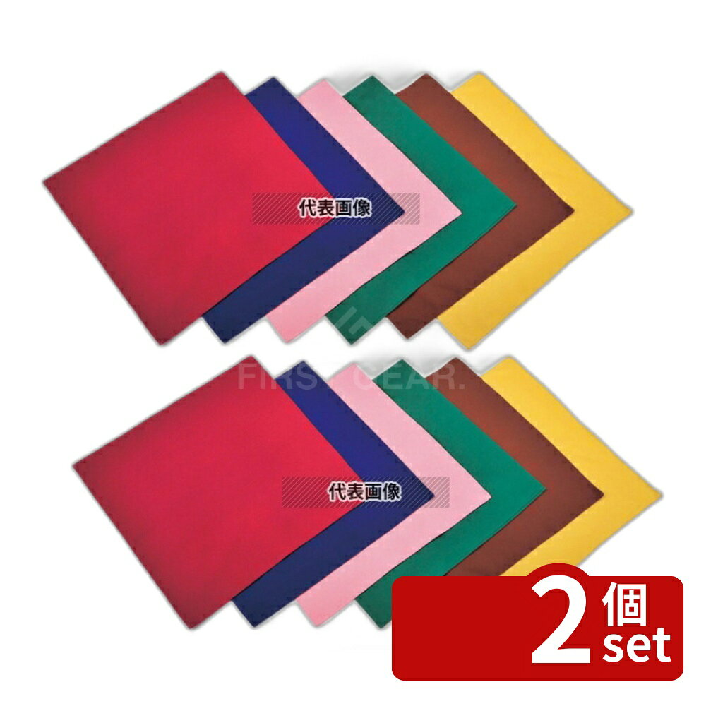 ��2�ĥ��åȡ�EBM(������) �ϥ����饹�ʥץ��� �������ԥ� 450��450 450��450 ��微ʪ No.7725320