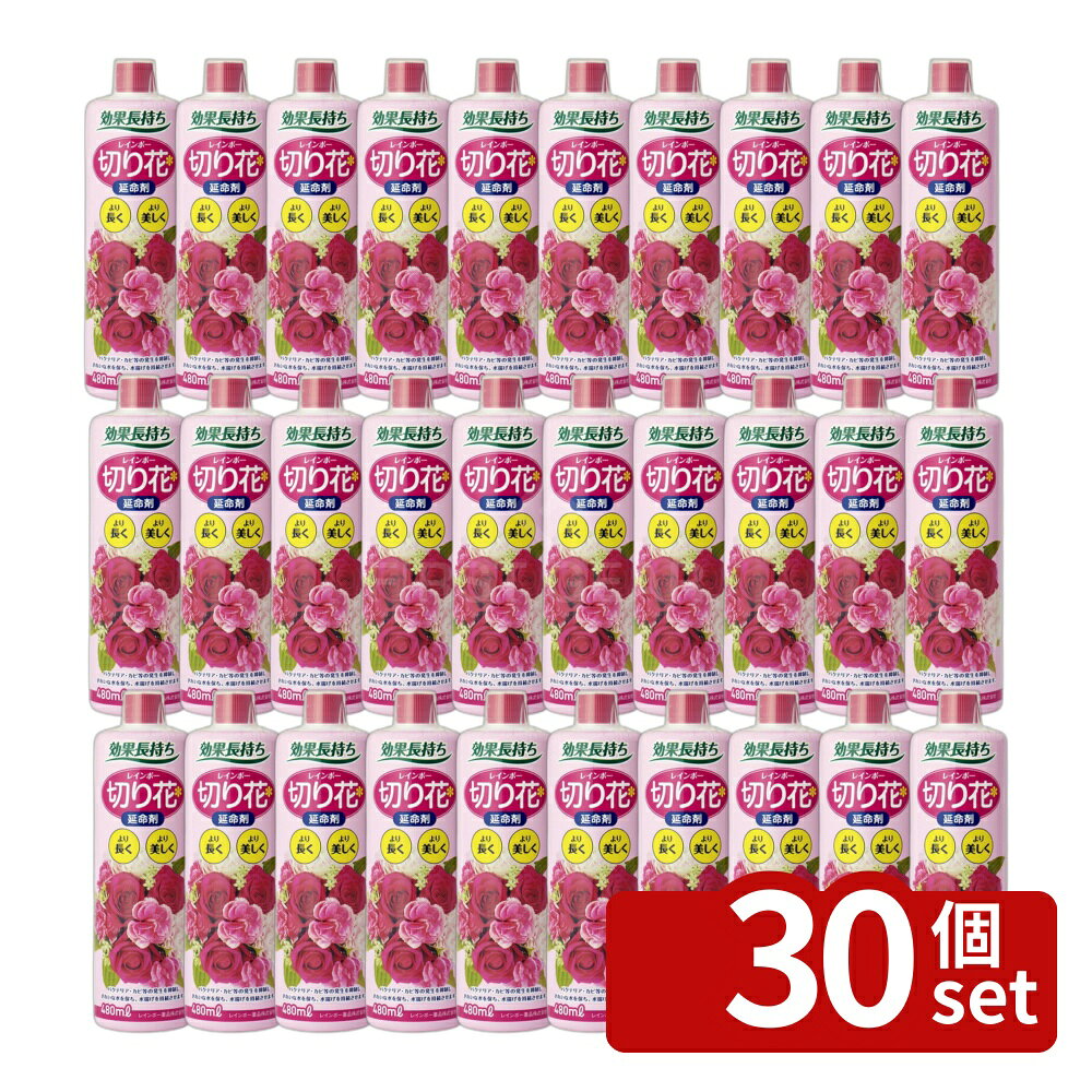 【30個セット】レインボー薬品 レインボー切り花延命剤 [4903471171018]