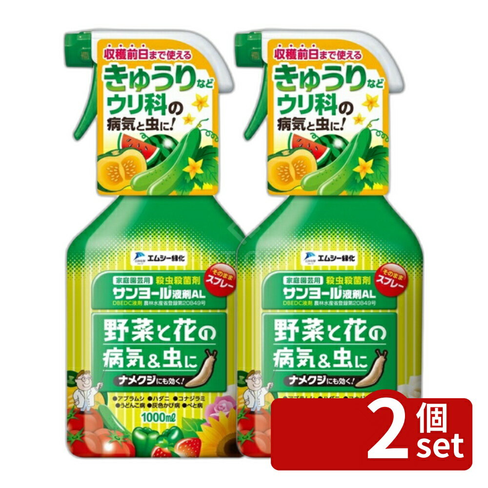 商品の特徴 エムシー緑化 サンヨール液剤AL1000mlうどんこ病野菜きゅうりべと病ばら黒星病 ●花や野菜の登録があるので安心して使えます。 ●収穫前日まで使えます。 ●ナメクジの登録もあり。 ●青紫色透明の液体の為、花や野菜に散布跡が残りにくいです。 ●使用上の注意 　(1)ハウスまたは露地栽培で高温時の場合には葉の変色等の薬害を生ずるおそれがあるので、その場合は使用をさけること。 　(2)多湿下の施設内で使用する場合は、散布した薬液が速く乾燥するように通気性をよくして散布すること。 　(3)スターチス、パンジー、ペチュニア、プリムラに使用する場合、花弁に変色症状の薬害が生ずるので開花中は使用しないこと。 　(4)ナメクジ類に対して使用する場合は、薬液が虫体にかかるように散布すること。 　(5)適用作物群に属する作物又はその新品種に本剤をはじめて使用する場合は、使用者の責任において事前に薬害の有無を十分確認してから使用すること。なお、病害虫防除所等関係機関の指導を受けることが望ましい。 　(6)害虫防除の場合、本剤は界面活性系のため、虫体の気孔・気門閉塞作用によって殺虫効果を生じさせるので、十分量虫体にかかるように散布すること。また、一度の散布で害虫が残った場合には改めて散布して下さい。 ●人畜に有毒な農薬については、その旨及び解毒方法 　(1)人に向かって噴射しないこと。 　(2)本剤は眼に対して刺激性があるので、眼に入らないよう注意すること。眼に入った場合には直ちに水洗し、眼科医の手当を受けること。 　(3)本剤は皮膚に対して刺激性があるので皮膚に付着しないよう注意すること。付着した場合には直ちに石けんでよく洗い落とすこと。 　(4)散布の際は、保護眼鏡、農薬用マスク、手袋、長ズボン・長袖の作業衣などを着用すること。作業後は直ちに手足、顔などを石けんでよく洗い、洗眼・うがいをするとともに衣服を交換すること。 　(5)作業時に着用していた衣服等は他のものとは分けて洗濯すること。 　(6)かぶれやすい体質の人は取扱いに十分注意すること。 　(7)本剤を施設内で使用するとき、アルコール濃度が高いため特にアルコールに弱い体質の方は、揮発性ガスにより気分が悪くなったり、酔う恐れがあるので、換気を十分にすること。 　(8)街路、公園等で使用する場合は、散布中及び散布後(少なくとも散布当日)に小児や散布に関係のない者が散布区域に立ち入らないよう縄囲いや立て札を立てるなど配慮し、人畜等に被害を及ぼさないよう注意を払うこと。 ●水産動植物に有毒な農薬については、その旨 　本剤は水産動物に影響を及ぼすが、通常の使用方法では問題ない。 ●引火し、爆発し、又は皮膚を害する等の危険のある農薬については、その旨 　引火性があるので、火気に十分注意すること。 ●貯蔵上の注意事項 　(1)火気をさけ、直射日光が当たらない低温な場所に密栓して保管すること。 　(2)子供の手の届かない場所に保管すること。 製品仕様 ●内容量　1000ml ●有効成分　　DBEDC ●生産国　日本 ●適用作物名　きゅうり、トマト、ミニトマト、ピーマン、すいか、メロン、かぼちゃ、いちご、ばら、きく、ペニチュア、スターチス、プリムラ、パンジー、さるすべり、まさき、さざんか、つつじ類、花き類・観葉植物、(きく、ばら、ペニチュア、スターチス、プリムラ、パンジーを除く)、樹木類、(さるすべり、まさき、さざんか、つつじ類を除く)、日本芝 ●適用病害虫　うどんこ病、べと病、アブラムシ類、ハダニ類、コナジラミ類、葉かび病、灰色かび病、黒星病、ナメクジ類、チュウレンジハバチ、白さび病、ケムシ類、カイガラムシ類、イラガ類、ツノロウムシ、ツツジグンバイ、ツツジコナジラミ JANコード：4571367110153