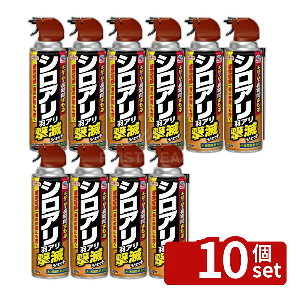 【10個セット】アース製薬 アースガーデン シロアリ・羽アリ撃滅ジェット 480mL 殺虫剤 シロアリ駆除 スプレー [4901080237514]