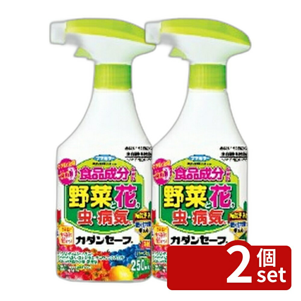 商品の特徴 フマキラー カダン セーフ 250ml 園芸用 殺虫 殺菌 食品成分 ●野菜にも使える、草花にもやさしい殺虫・殺菌剤 ●果樹のおうとう・ブルーベリー・レモンにも使えます。 ●人と自然にやさしい食品成分ソルビタン脂肪酸エステル使用 ●アブラムシ、ハダニなどの害虫、うどんこ病や灰色かび病などの病原菌を包みこんで退治 ●イヤなニオイなし、植物を思いやった処方です。 ●農林水産省登録第20924号 【使用方法】 ・希釈せずそのまま散布する (収穫前日まで) 野菜類(はつかだいこんを除く)、いも類、豆類(種実)：アブラムシ類、ハダニ類、うどんこ病 はつかだいこん：アブラムシ類、アオムシ、ハダニ類、うどんこ病 果樹類(ぶどうを除く)：アブラムシ類、ハダニ類 ぶどう：アブラムシ類、ハダニ類、うどんこ病 (発生初期) 花き類・観葉植物(パンジーを除く)：アブラムシ類、ハダニ類、うどんこ病 パンジー：アブラムシ類、ハダニ類、うどんこ病、灰色かび病 *本剤及びソルビタン脂肪酸エステルを含む農薬の総使用回数の制限は設定されていません。 製品仕様 【成分】 ソルビタン脂肪酸エステル：0.14％ 乳化剤、有機溶剤等：99.86％ 【規格概要】 性状：類白色乳濁液体 【保存方法】 ・密栓して、直射日光を避け、凍結のおそれのない低温で乾燥した場所に保管する ・子供の手の届かない場所に保管する 【注意事項】 ★効果・薬害等の注意 ・本剤はそのまま散布できるよう調製してあるので、希釈せずに散布する ・使用前に容器をよく振る ・日中、高温時、強風時、降雨前の使用は避ける ・自動車、家具、床、カーテン等に噴霧液が付着したら直ちにふき取るか洗う ・本剤は散布液が直接かからないと効果がないため、病害虫にむらなくかかるよう発生部位に丁寧に十分散布する ・病害虫の発生が多い場合は効果が十分に発揮されないこともあるので、5-7日間隔で連続散布することが望ましい ・灰色かび病が多発すると本剤は効果がやや低いので、他剤と併用する ・ぶどうに使用する場合は、薬害を生じる恐れがあるので、使用者の責任において事前に薬害の有無を十分確認してから使用する ・適用作物群に属する作物又はその新品種に本剤をはじめて使用する場合、使用者の責任において事前に薬害の有無を十分確認してから使用する ★安全使用上の注意 ・人に向かって噴射しない ・かぶれやすい体質の人は取り扱いに十分注意する ★廃棄上の注意 ・使用後の空容器はプラスチックごみとして捨てる。 JANコード：4902424433951