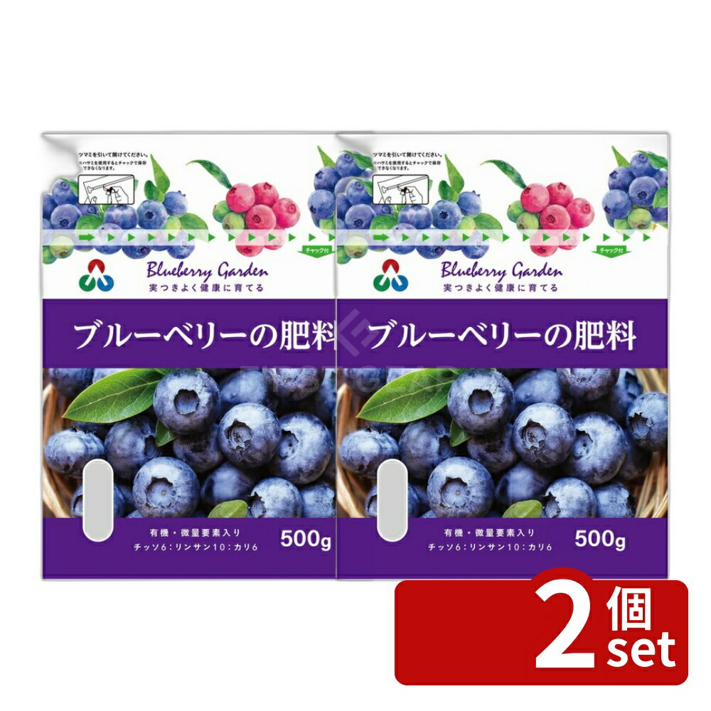 【2個セット】朝日アグリア STブルーベリーの肥料 500g