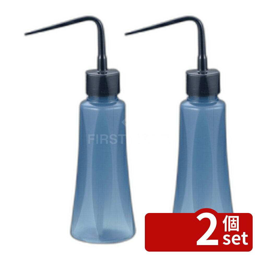 ��2�ĥ��åȡۥ�å����� �ץå���夵��N 250 NV �ͥ��ӡ� [4973655794128]