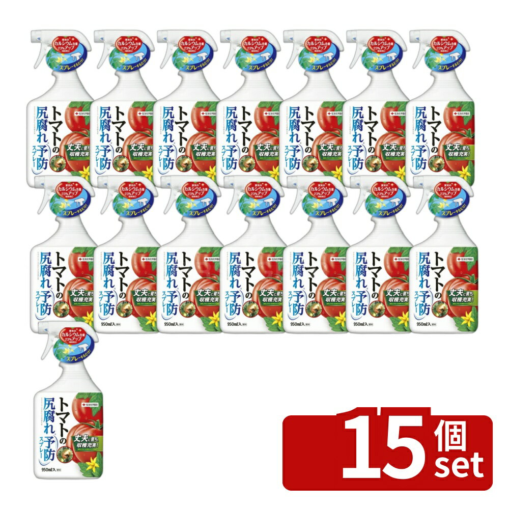 【15個セット】住友化学園芸 トマト尻腐れ予防スプレー950ml 肥料 スプレー 植物生育促進 希釈不要 [4975292603276]