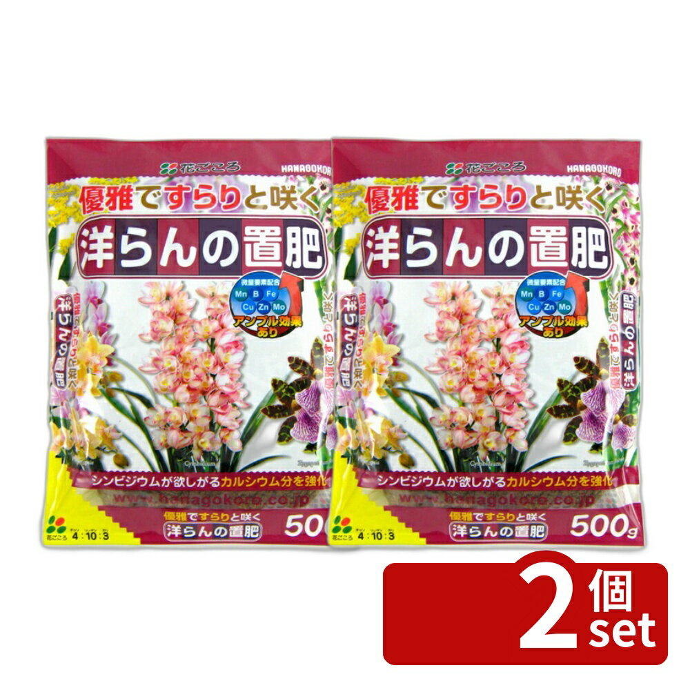 【2個セット】花ごころ 洋らんの置肥 500g 肥料 [4977445055307]