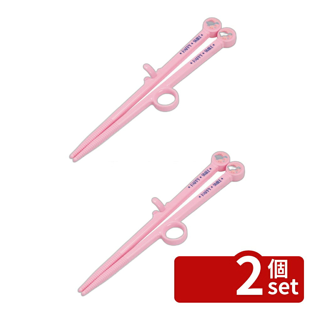＼レビュー特典有／【2個セット】スケーター ダイカットトレーニング箸 ハッピー&スマイル | ダイカットトレーニング箸 トレーニング箸 練習箸 お箸 右利き用 子供用 キッズ ベビー 可愛い かわいい 恐竜柄 練習用箸 子ども箸 持ち方覚え箸 トレーニングはし グッズ おはし