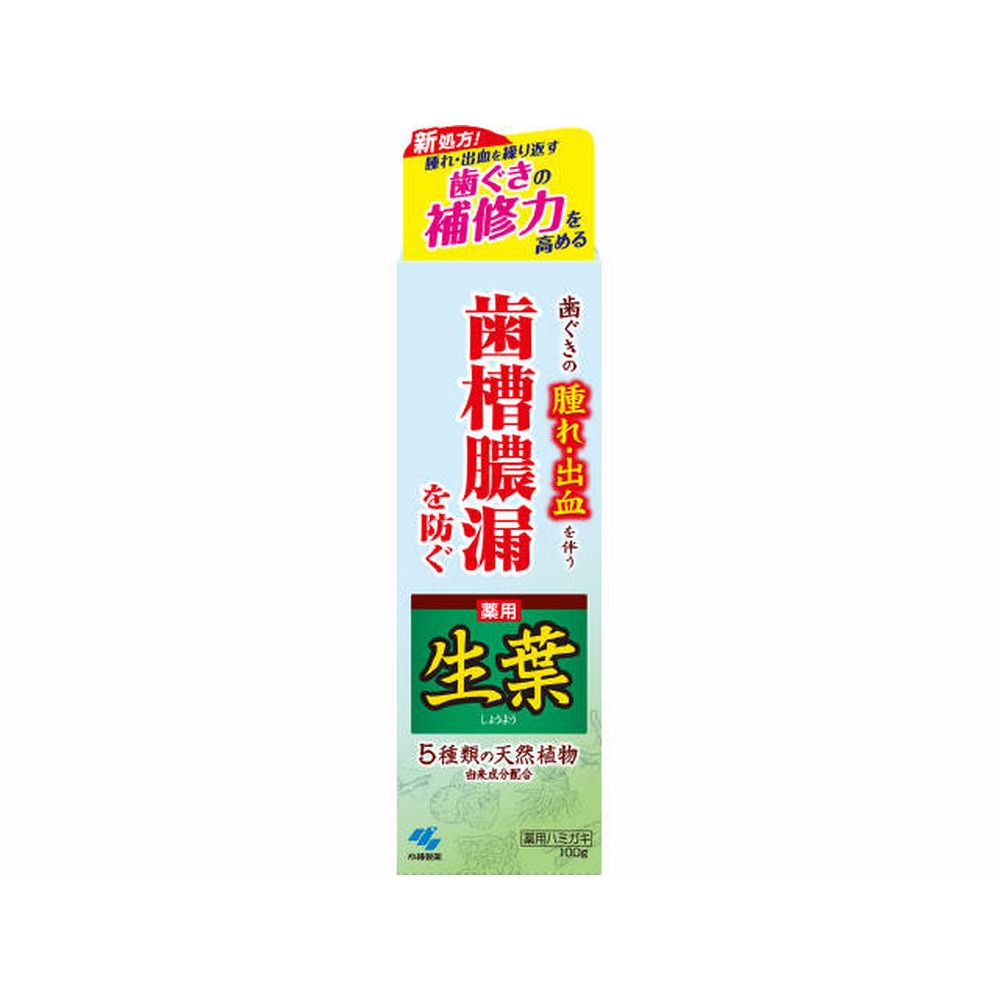 小林製薬 薬用ハミガキ 生葉 [単品内容量/100g] | 薬用歯磨き 和漢ハーブ 生葉 ハミガキ 歯磨き粉 口中..