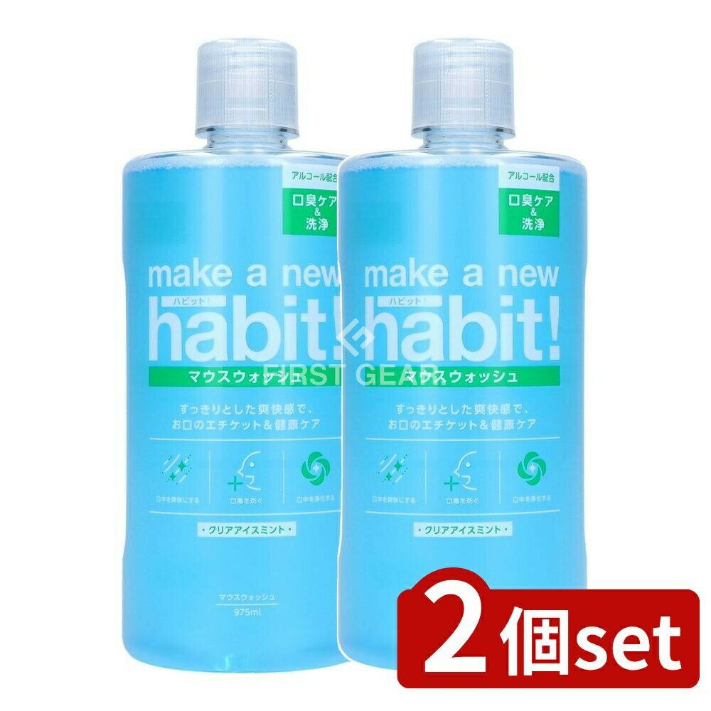 【2個セット】 NSファーファ メイク ア ニューハビット! クリアアイスミント [単品内容量/975ml] | お..
