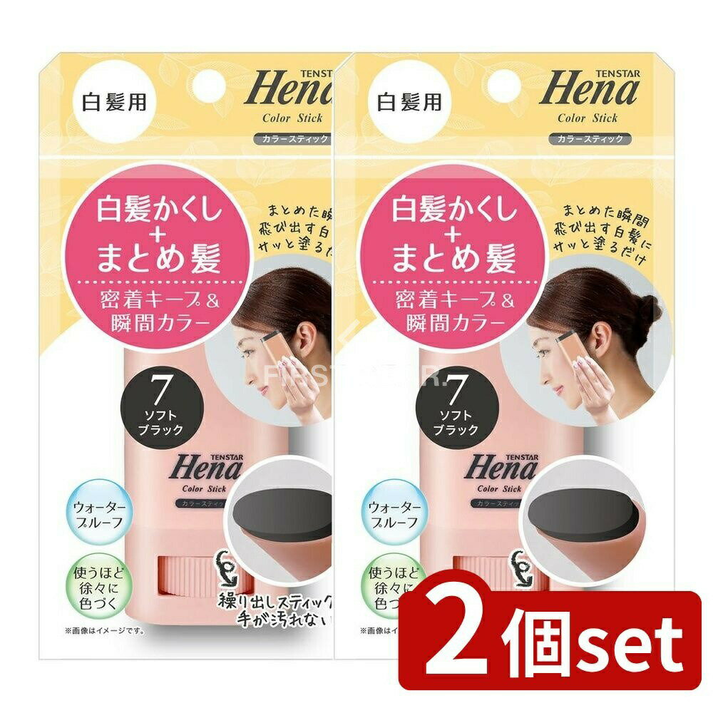 【2個セット】 ミマスクリーンケア テンスター 白髪用カラースティック ソフトブラック [単品内容量/15..