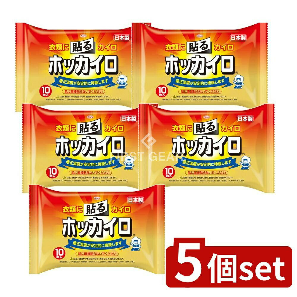 ＼レビュー特典有／【5個セット】 興和 ホッカイロ 貼るレギュラー [単品内容量/10個] | ホッカイロ カ..