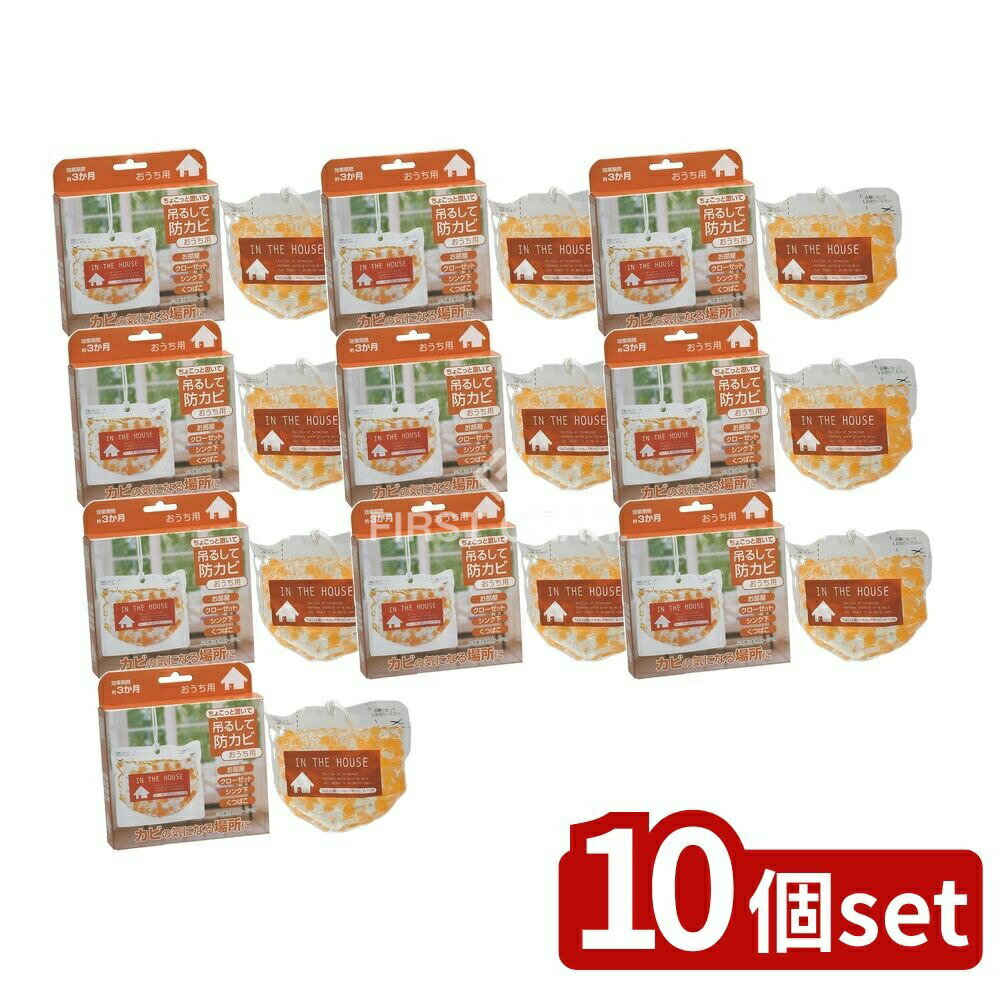 【10個セット】 高森コーキ ちょこっと置いて吊るして防カビ おうち用 [単品内容量/160g] | 高森コーキ..