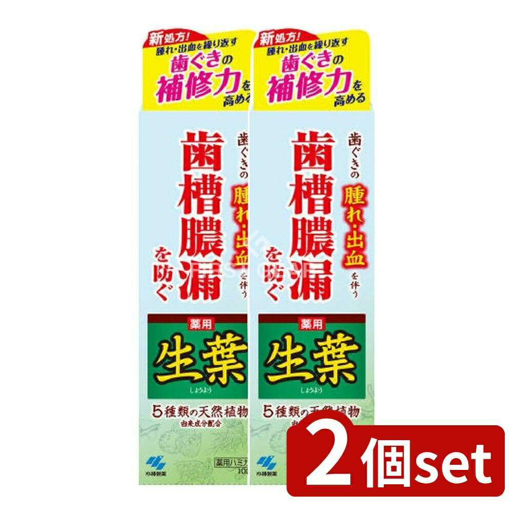 【2個セット】 小林製薬 薬用ハミガキ 生葉 [単品内容量/100g] | 薬用歯磨き 和漢ハーブ 生葉 ハミガキ..