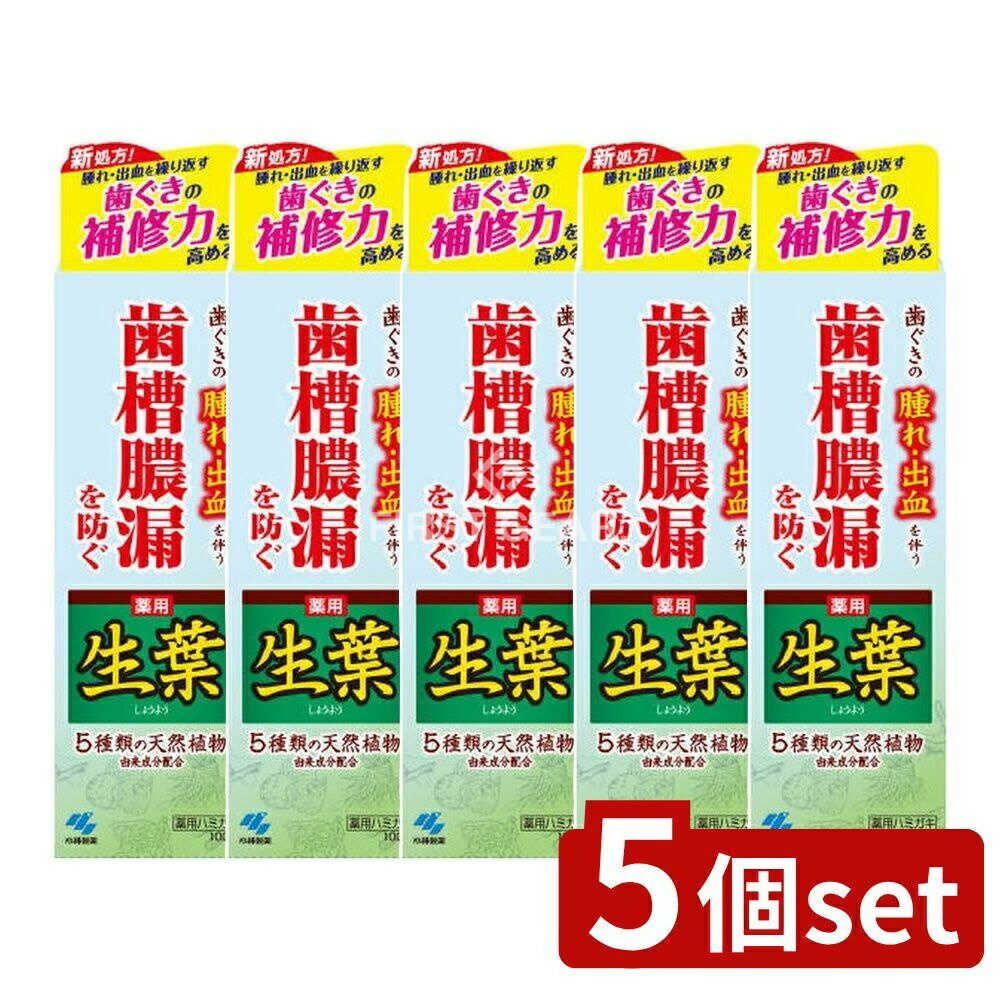 【5個セット】 小林製薬 薬用ハミガキ 生葉 [単品内容量/100g] | 薬用歯磨き 和漢ハーブ 生葉 ハミガキ..