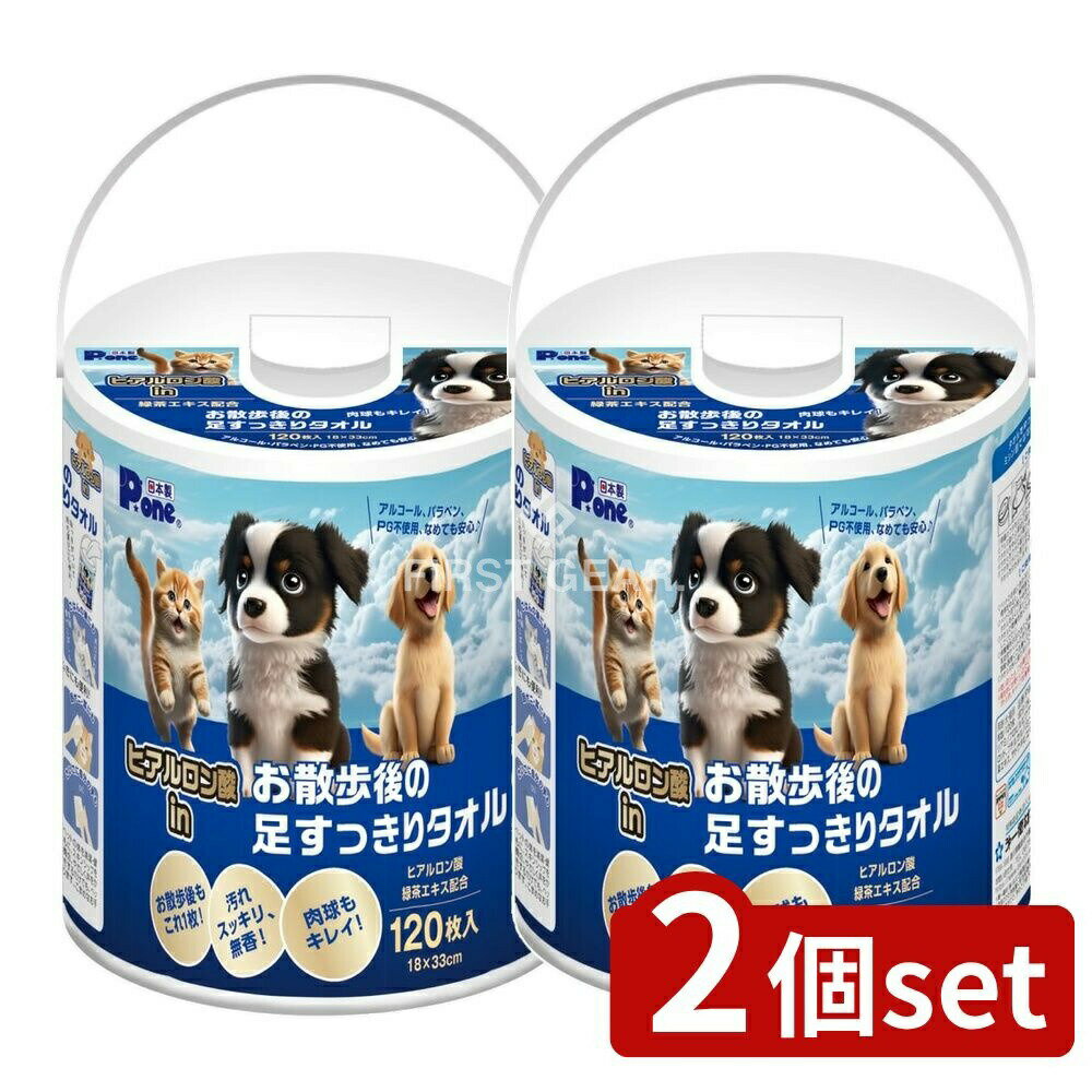 【2個セット】 第一衛材 ヒアルロン酸inお散歩後の足すっきりタオル 本体 [単品内容量/120枚] | ヒアル..