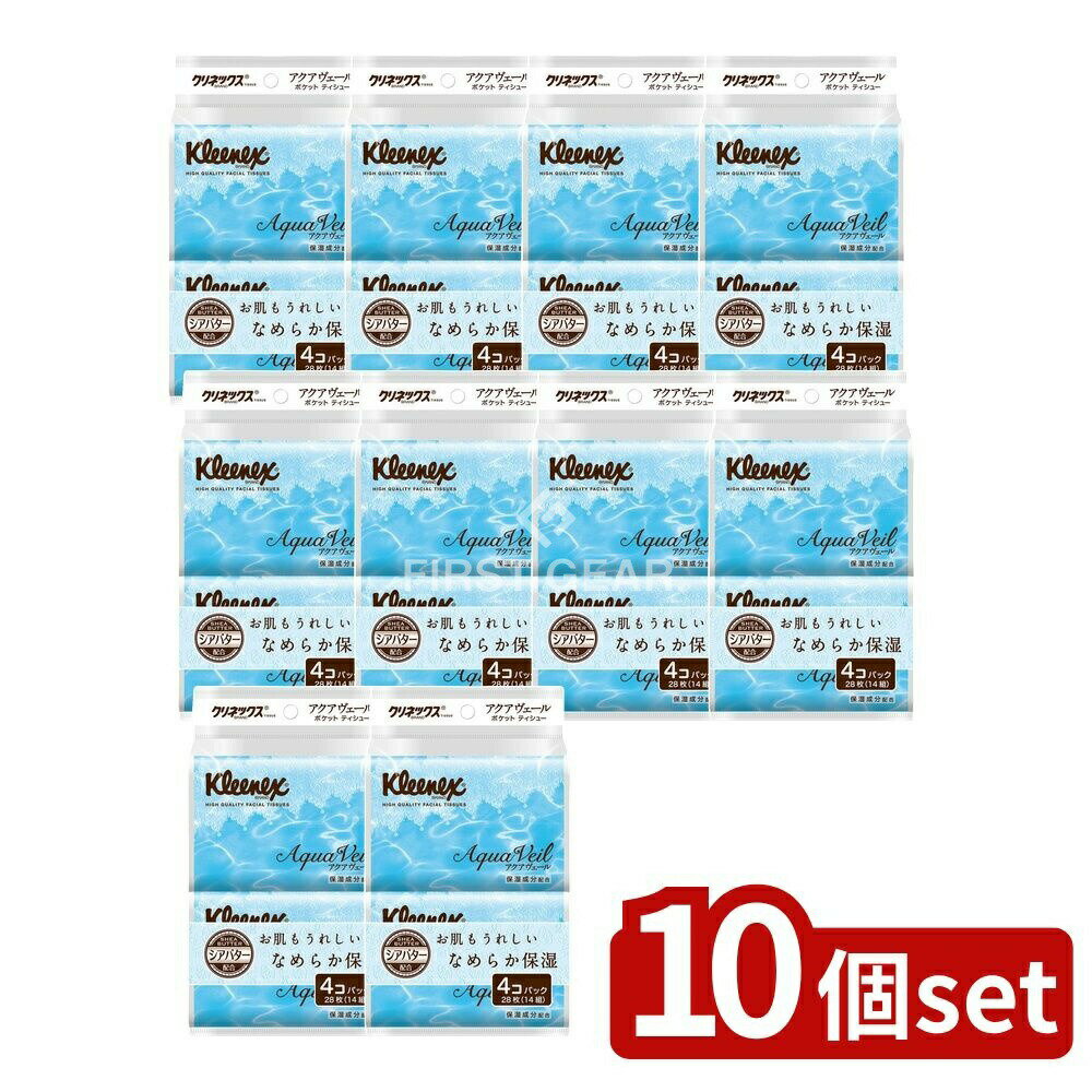 ＼レビュー特典有／【10個セット】 