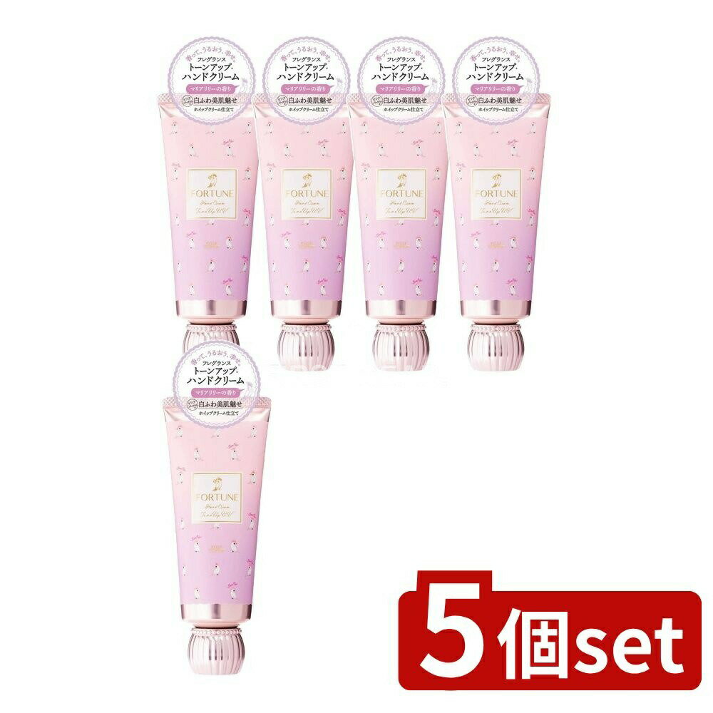 ӥ塼ŵͭ5ĥåȡ  ե ե쥰 ȡ󥢥å ϥɥ꡼ [ñ/60g] |  ե ϥ...