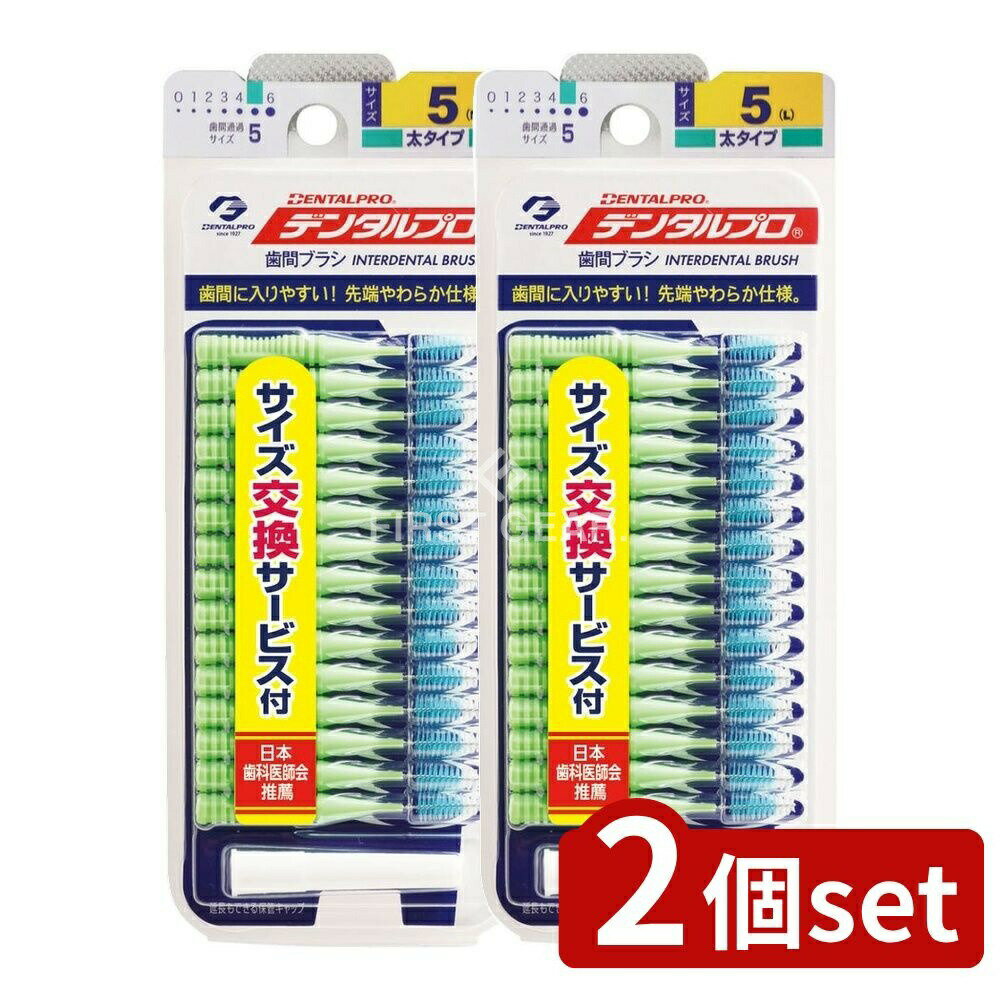 ＼レビュー特典有／【2個セット】 デンタルプロ デンタルプロ歯間ブラシ15P サイズ5 [単品内容量 ...