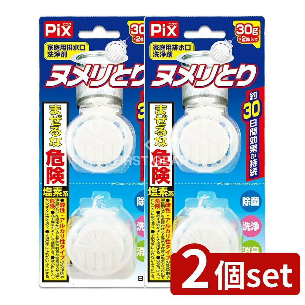 ＼レビュー特典有／【2個セット】 ライオンケミカル ピクスヌメリとり2個 [単品内容量/2個] | ライオン..