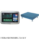 大和製衡(ヤマト) DP-5604A-300F 多機能デジタル台はかり(指示計:料金はかりタイプ 載台:大型)(4)