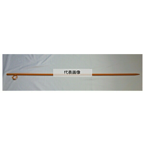 アイネット IK-509-13 ロープガイド1段 10本セット