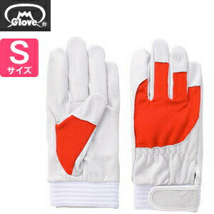 ٻΥ  ꡼ F-505 饯쥹 å S[5878] 1:FG7808