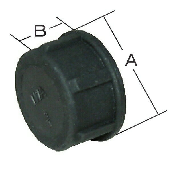 �������ꡡ49CAP15P������(PP)�� ����å�