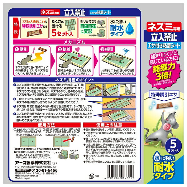 ���������� �����������ǥ� �ͥ�������Ω���ػ� �����դ�Ǵ�奷���� 5���å��� ��ʹ� �ͥ������ Ǵ��� [4901080047519]